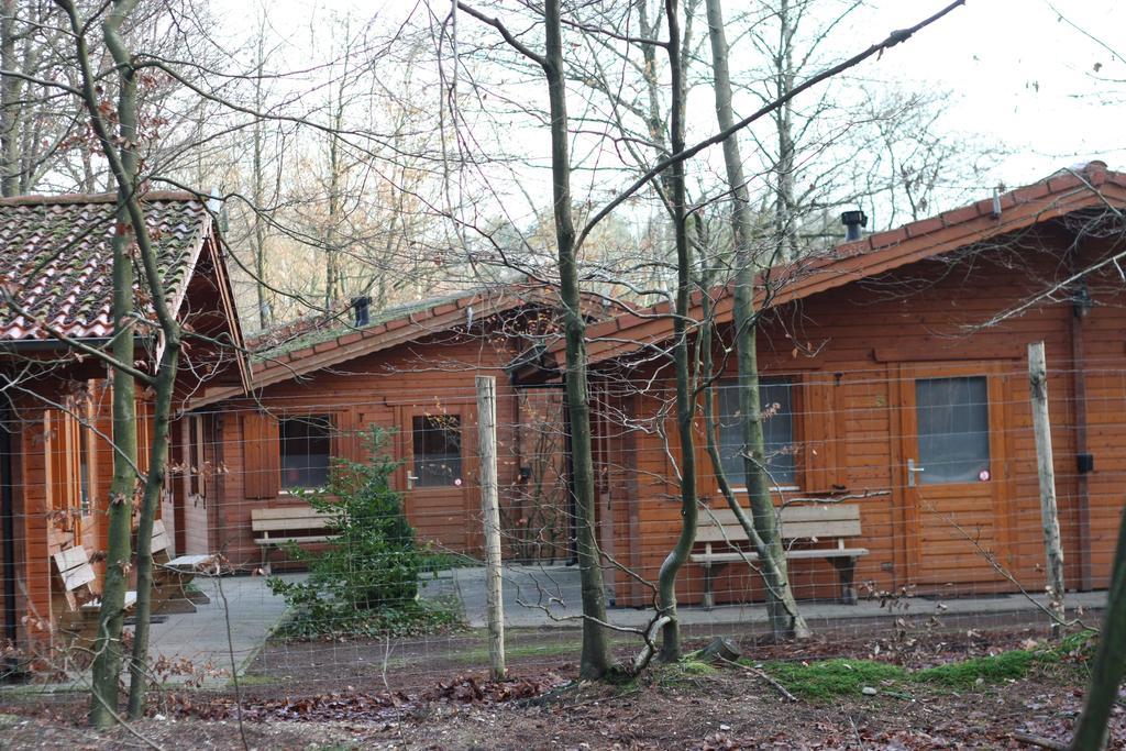 Lodges Veluwse Poort Dieren Exteriör bild