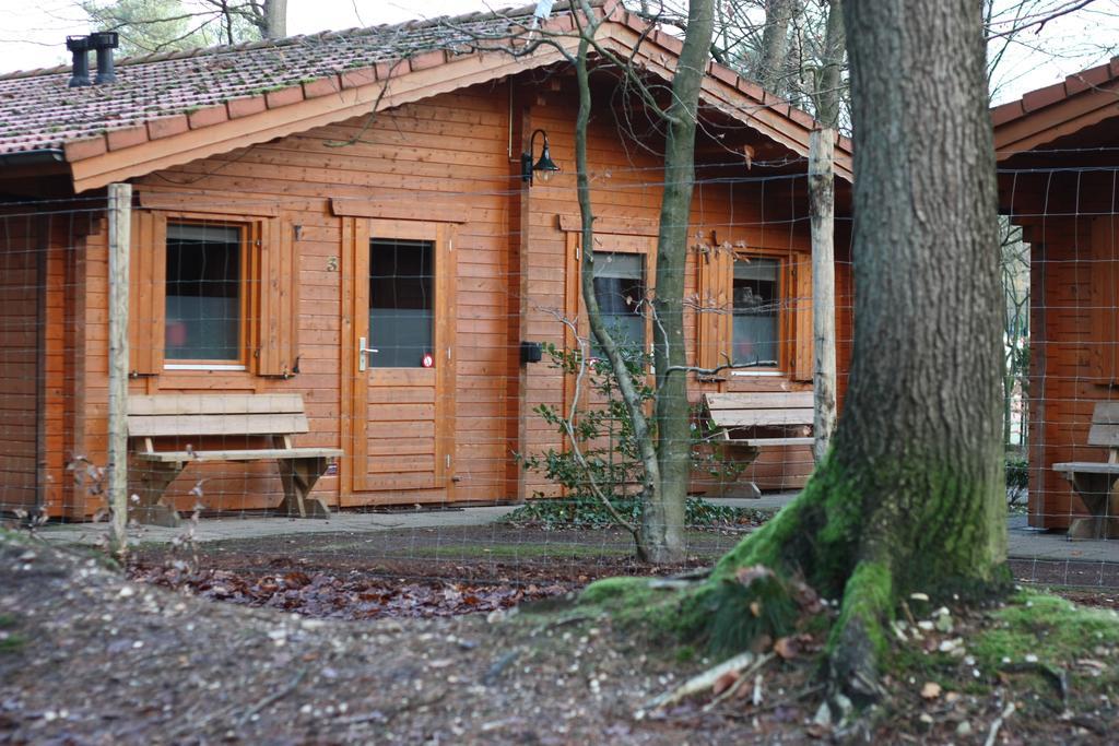 Lodges Veluwse Poort Dieren Exteriör bild