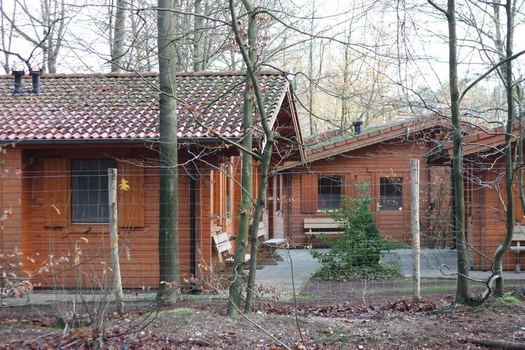 Lodges Veluwse Poort Dieren Exteriör bild