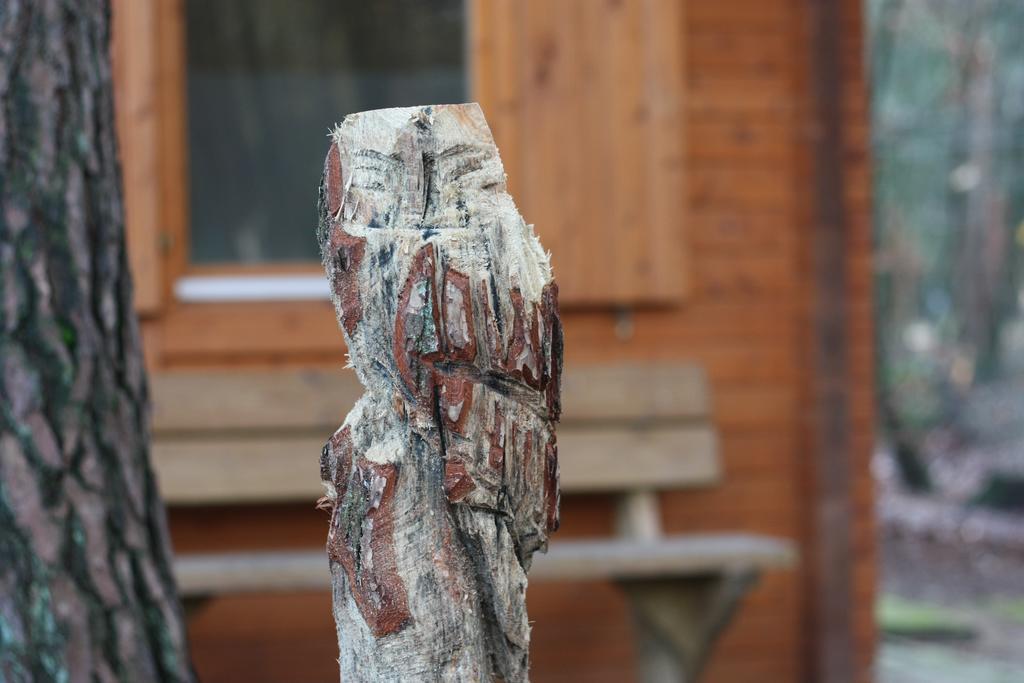 Lodges Veluwse Poort Dieren Exteriör bild